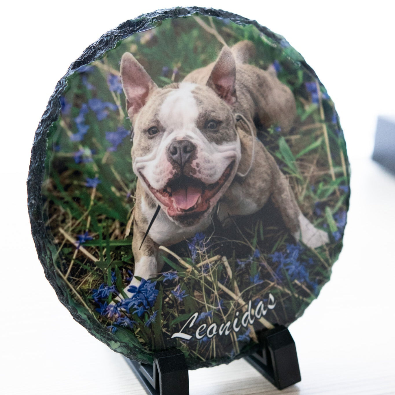 Round slate coaster with a dog photo and 'Leonidas' text on a white background