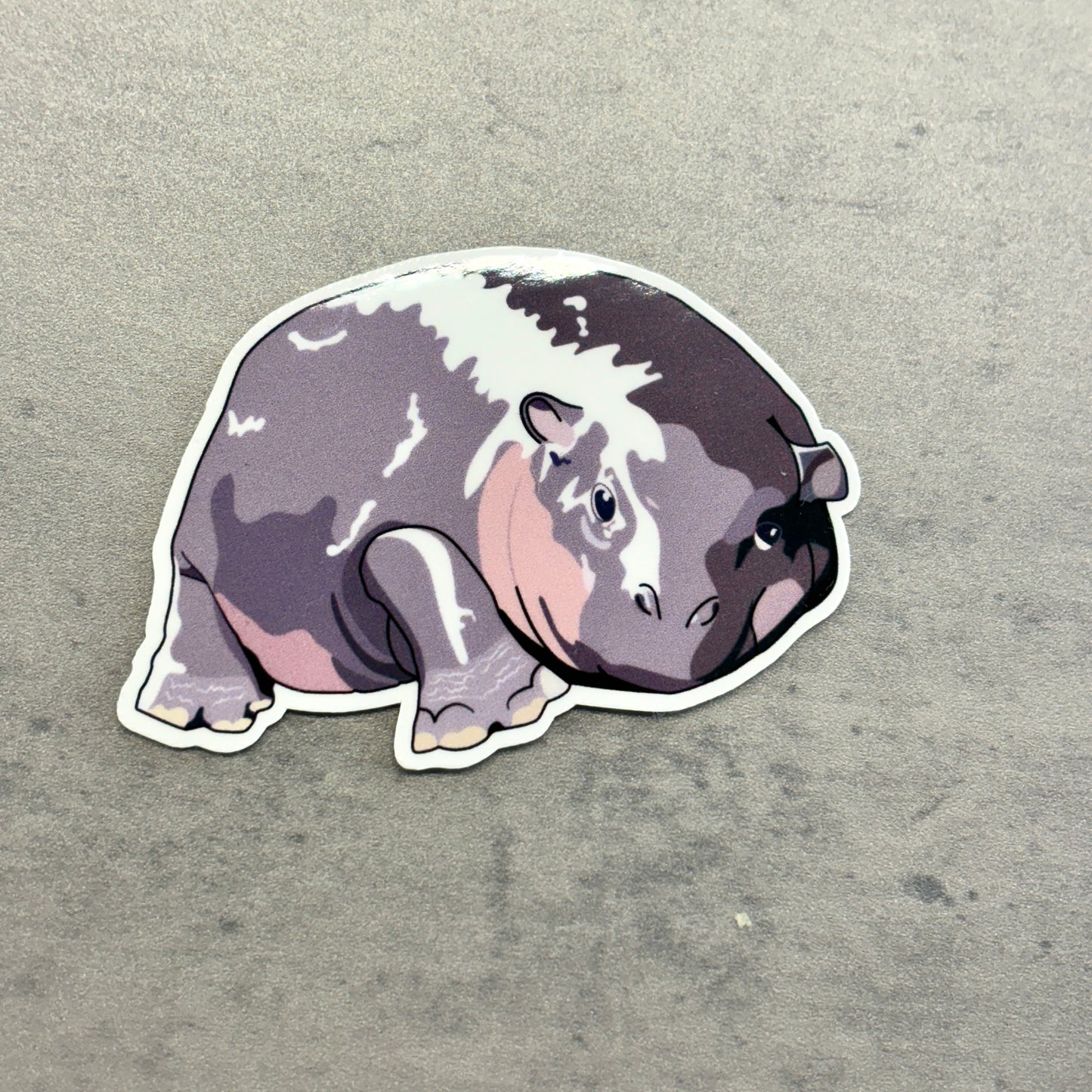 Moo Deng Hippo Sticker