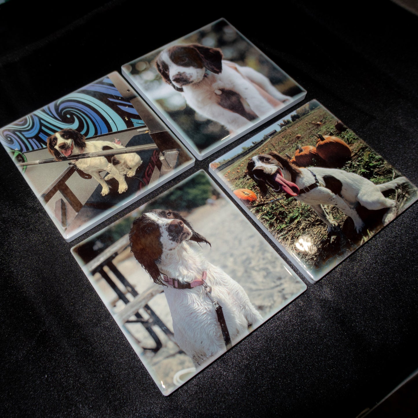 Custom Photo Coaster Set (4)